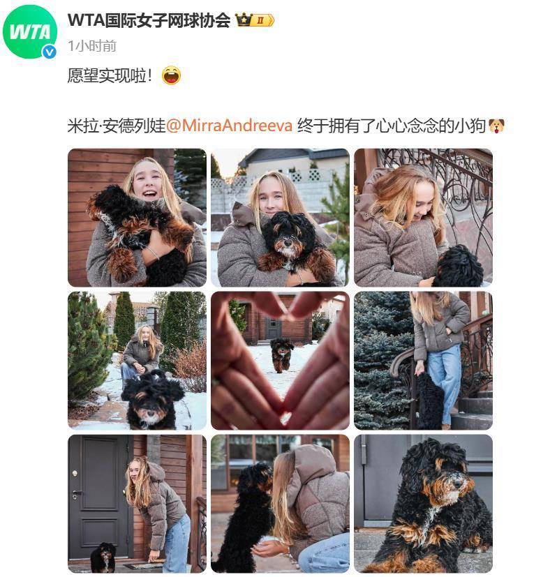 “小米辣”终于有了自己的小狗!曾说养狗是赢球的动力<strong></p>
<p>比特币最新价格行情</strong>,WTA官方发“贺信”:愿望实现啦!