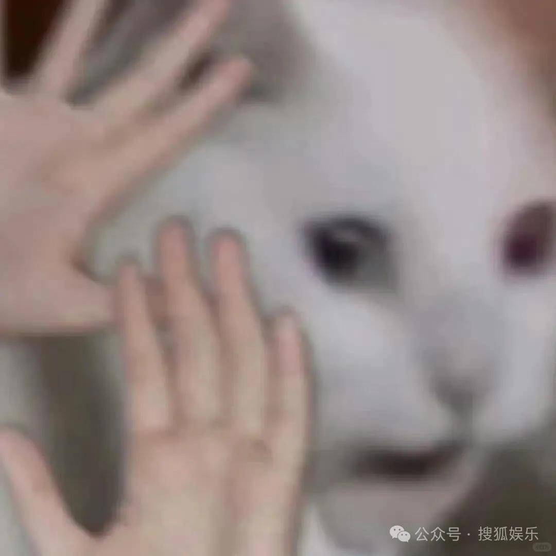 又一对魔幻的圈内姐弟恋曝光<strong></p>
<p>比特币走势</strong>!这组合有点太超前了......