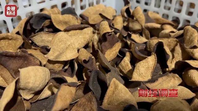 30天速成陈皮<strong></p>
<p>比特币美元实时行情</strong>,成本仅70元,利润超成本10倍以上!央视起底陈皮跨省造假产业链