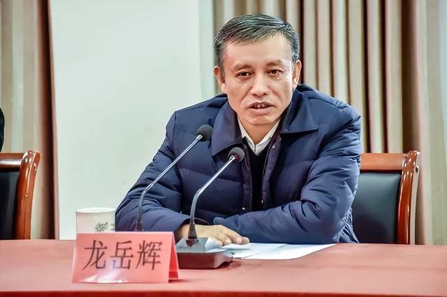 主动投案<strong></p>
<p>比特币美元实时行情</strong>,国家税务总局浙江省税务局原党委书记、副局长龙岳辉接受审查调查