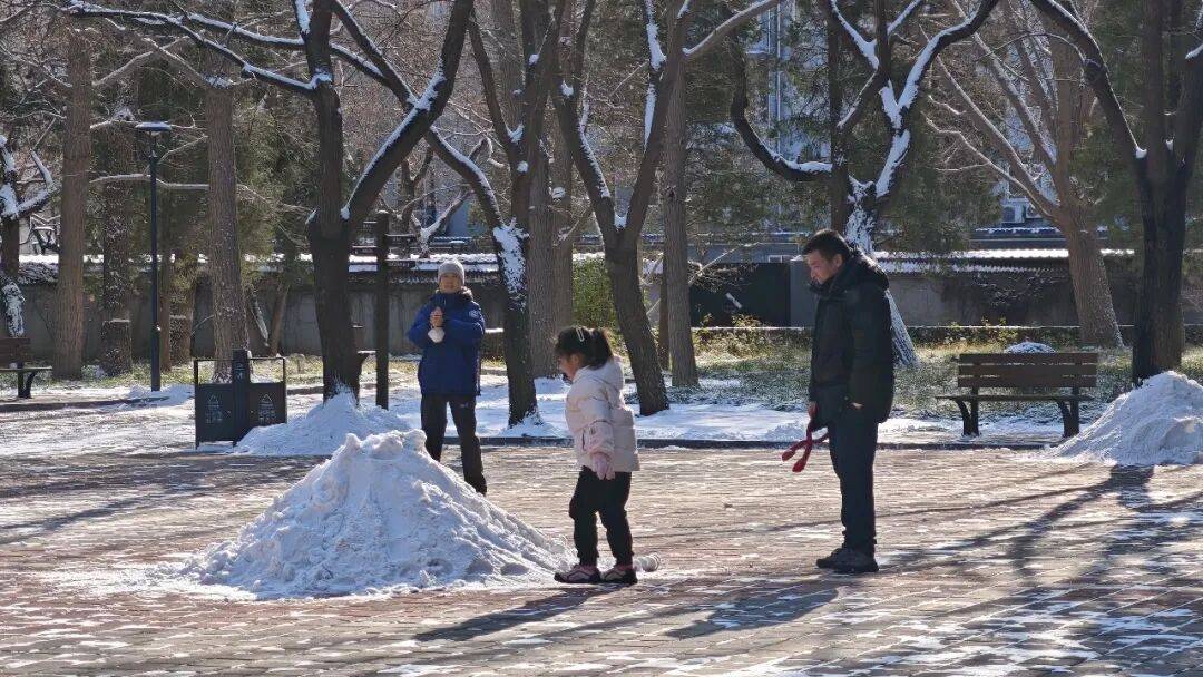 北京绿化带里用了二十年的板子<strong></p>
<p>比特币美元实时行情</strong>,今冬“下岗”了——