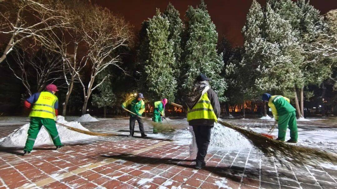 北京绿化带里用了二十年的板子<strong></p>
<p>比特币美元实时行情</strong>,今冬“下岗”了——