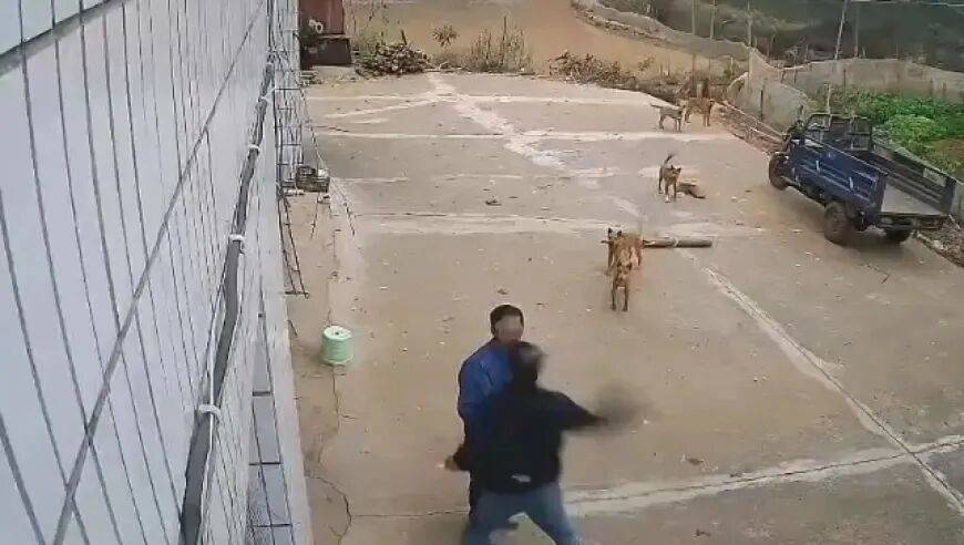 男子家门口吃橘子被邻居一拳打昏<strong></p>
<p>比特币美元</strong>，警方通报：因养狗问题起冲突，均有受伤