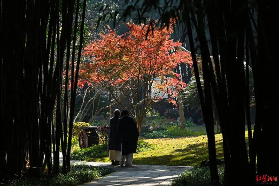 我国已进入拉尼娜状态<strong></p>
<p>比特币挖矿</strong>!四川今冬或“前暖后冷”