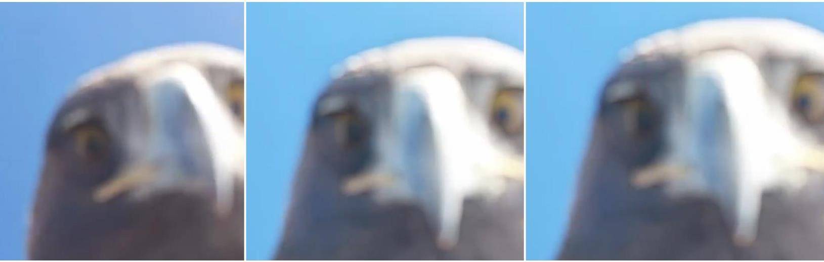 土耳其老鹰空中抓走无人机<strong></p>
<p>比特币矿机</strong>，带上山顶“玩自拍”