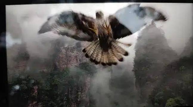 土耳其老鹰空中抓走无人机<strong></p>
<p>比特币矿机</strong>，带上山顶“玩自拍”