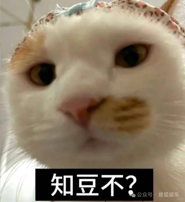 刚开年又曝一对相差15岁的恋情？他这一周两段绯闻真是连环暴击啊<strong></p>
<p>比特币中国</strong>！