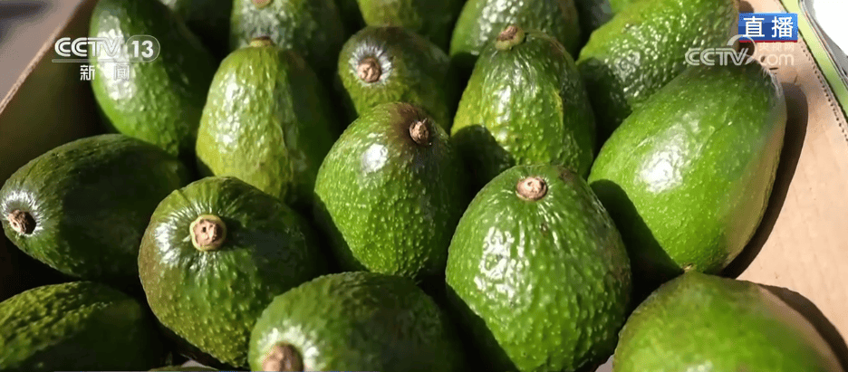 人气旺、消费火<strong></p>
<p>比特币中国</strong>，热气腾腾！各地市场活跃繁荣 “年经济”释放“新”热度