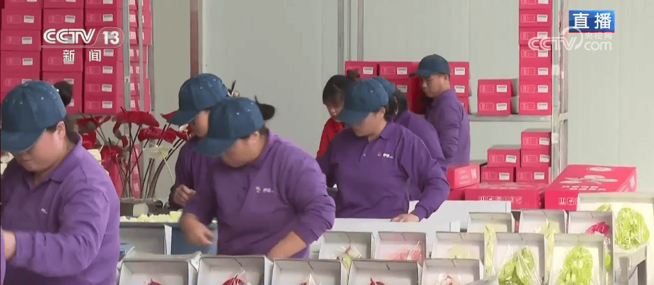 人气旺、消费火<strong></p>
<p>比特币中国</strong>，热气腾腾！各地市场活跃繁荣 “年经济”释放“新”热度