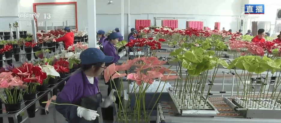 人气旺、消费火<strong></p>
<p>比特币中国</strong>，热气腾腾！各地市场活跃繁荣 “年经济”释放“新”热度