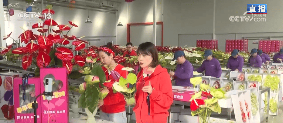 人气旺、消费火<strong></p>
<p>比特币中国</strong>，热气腾腾！各地市场活跃繁荣 “年经济”释放“新”热度