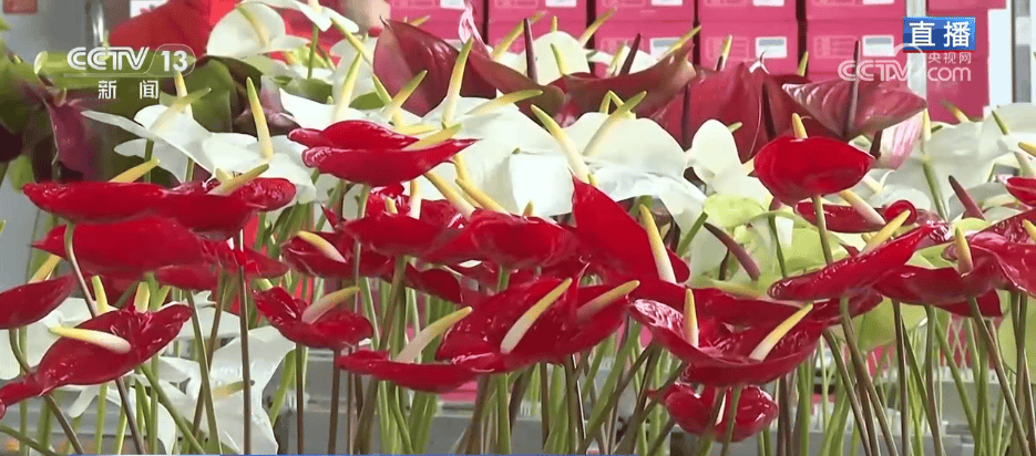 人气旺、消费火<strong></p>
<p>比特币中国</strong>，热气腾腾！各地市场活跃繁荣 “年经济”释放“新”热度