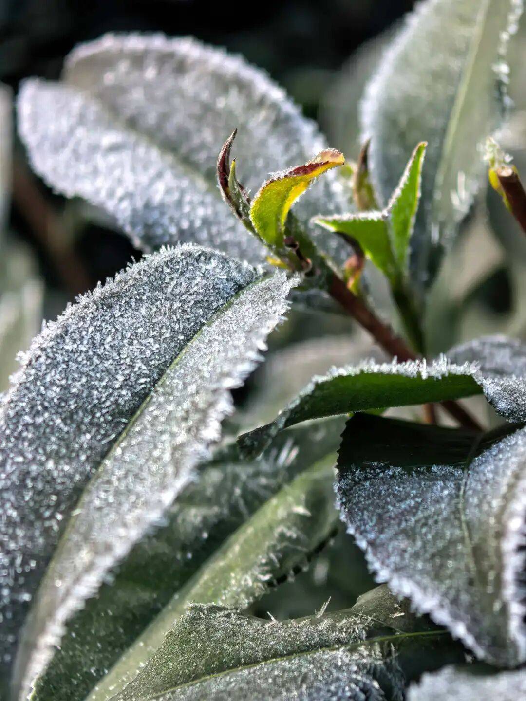 今起<strong></p>
<p>比特币价格实时行情</strong>，持续一周！直冲20℃！杭州人做好准备，还有个大反转……