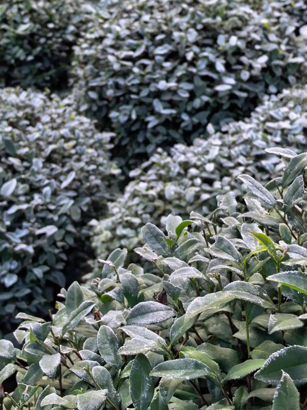 今起<strong></p>
<p>比特币价格实时行情</strong>，持续一周！直冲20℃！杭州人做好准备，还有个大反转……