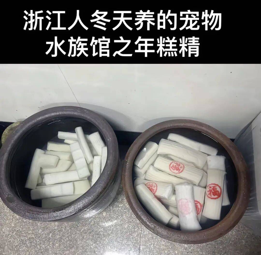 “养年糕”养到发烂发臭<strong></p>
<p>比特币之父</strong>，浙江人的噩梦来了